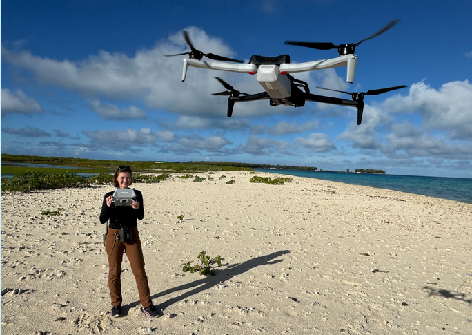 drone over a beach