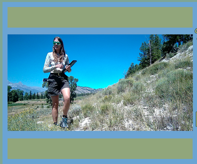 hiker in a meadow