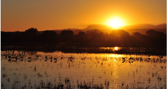 Screenshot 2026-08-19 111633 Sunset over a wetland
