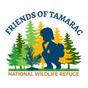 Profile photo of a_h