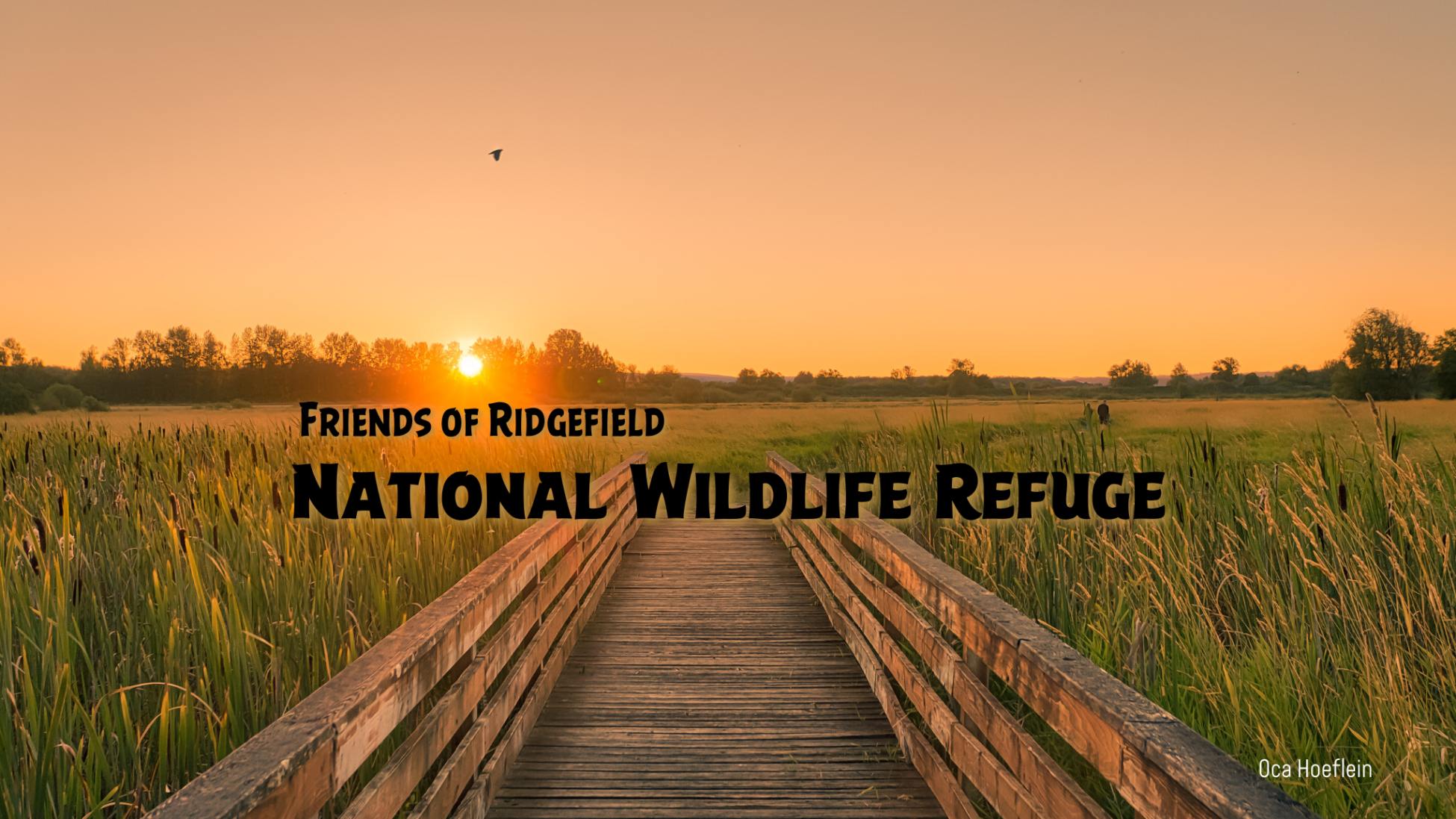 Group cover image